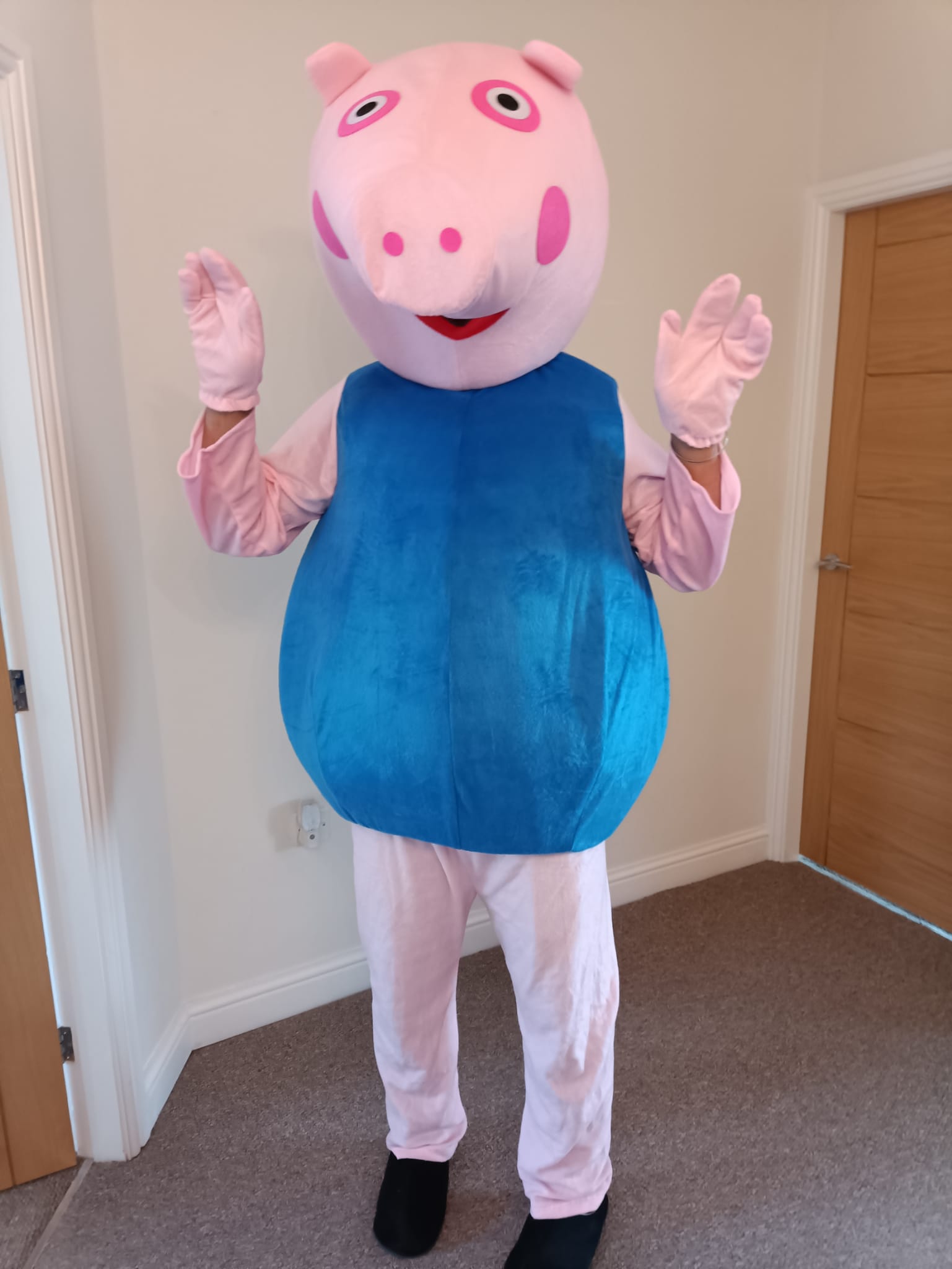 Pig Solihull Mascot Hire